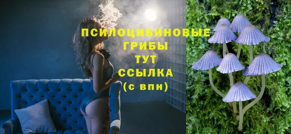 mdpv Мегион