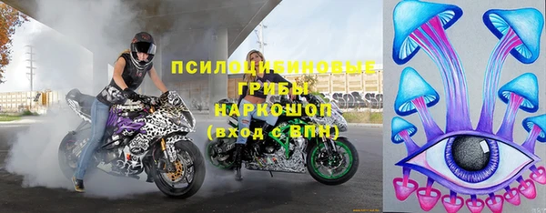хмурый Медногорск