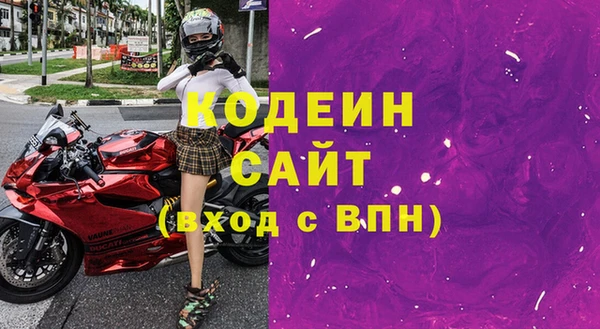 хмурый Медногорск