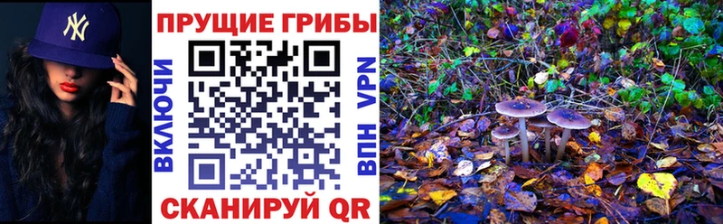 купить закладку  Углегорск  Галлюциногенные грибы Psilocybine cubensis 
